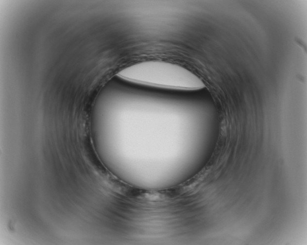X0000095940464200801110858