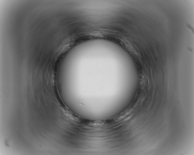 X0000095940466200801110858