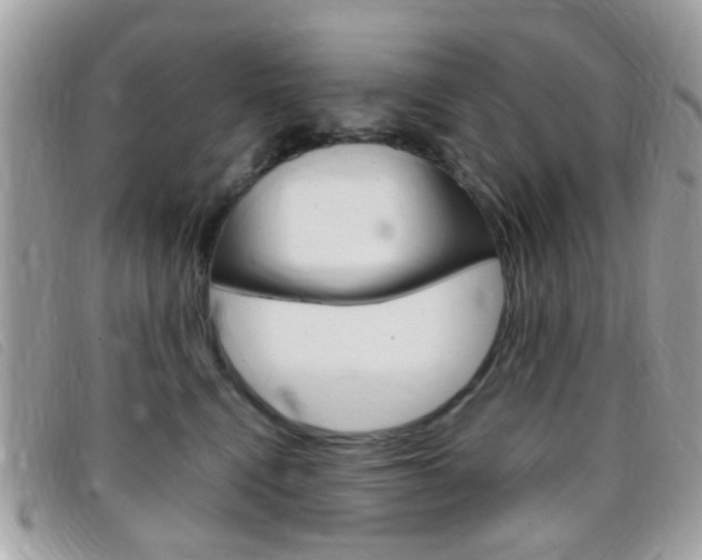 X0000095940472200801110858