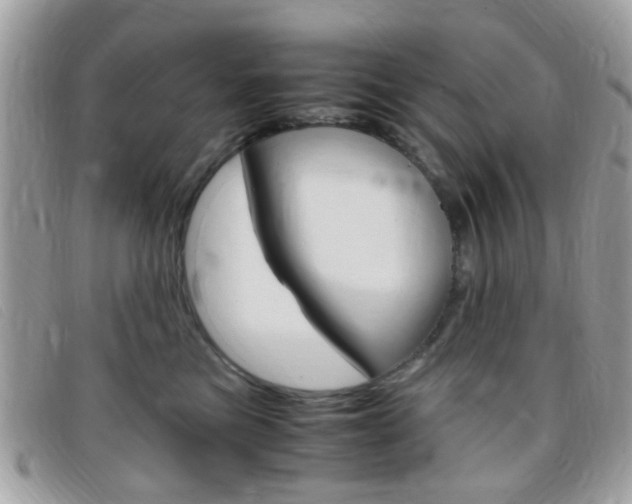X0000095940473200801110858