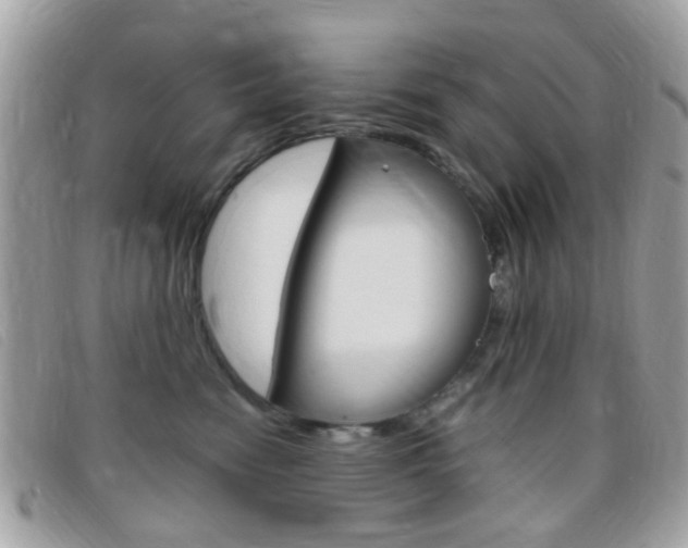 X0000095940474200801110858