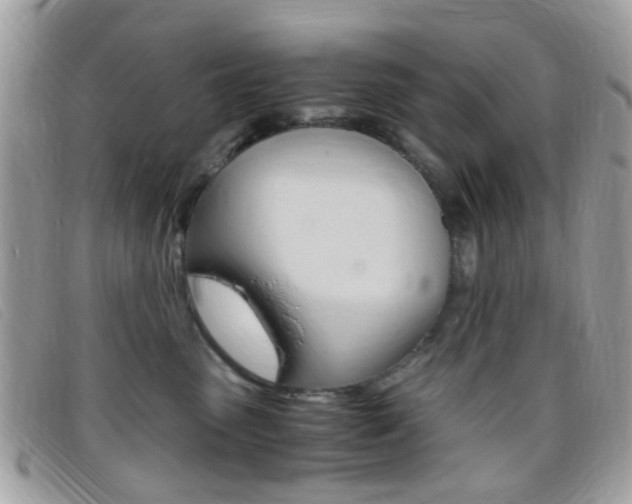 X0000095940475200801110858