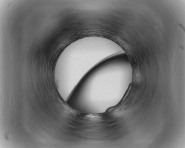 X0000095940477200801110858
