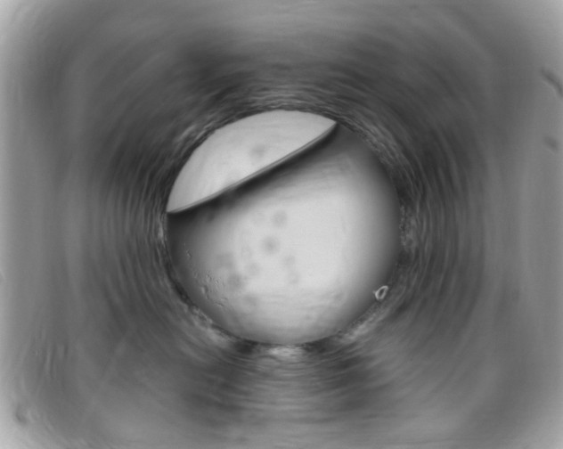 X0000095940478200801110858