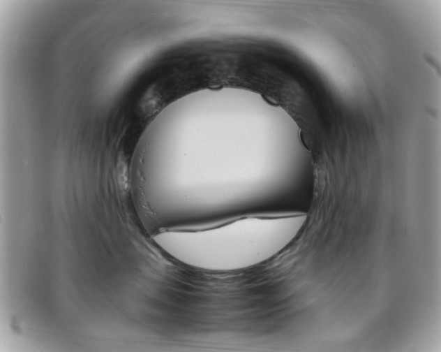 X0000095940479200801110858