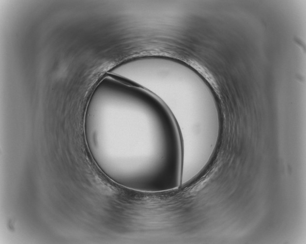 X0000095940481200801110858