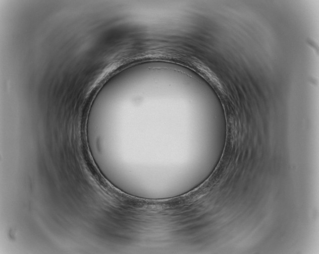 X0000095940482200801110858