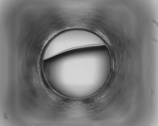 X0000095940483200801110858