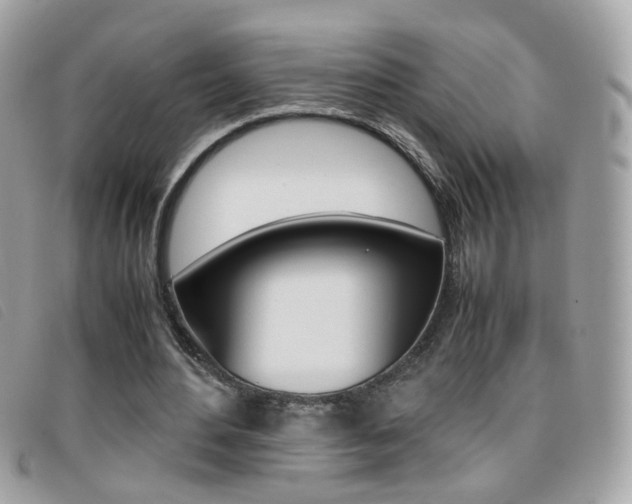 X0000095940484200801110858