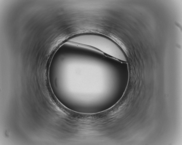 X0000095940485200801110858