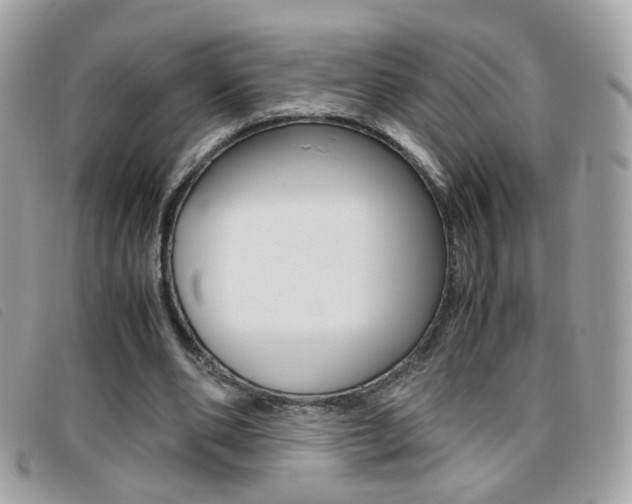 X0000095940486200801110858