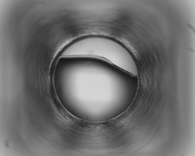 X0000095940488200801110857