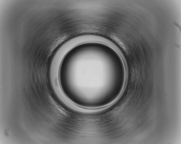 X0000095940490200801110857