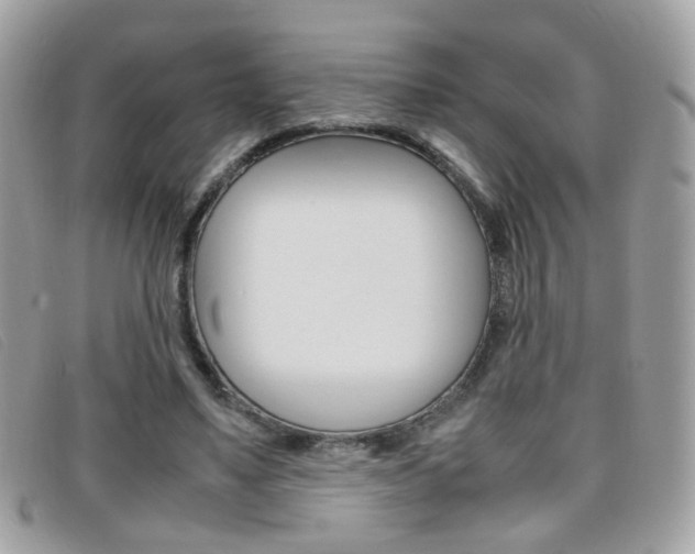 X0000095940491200801110857