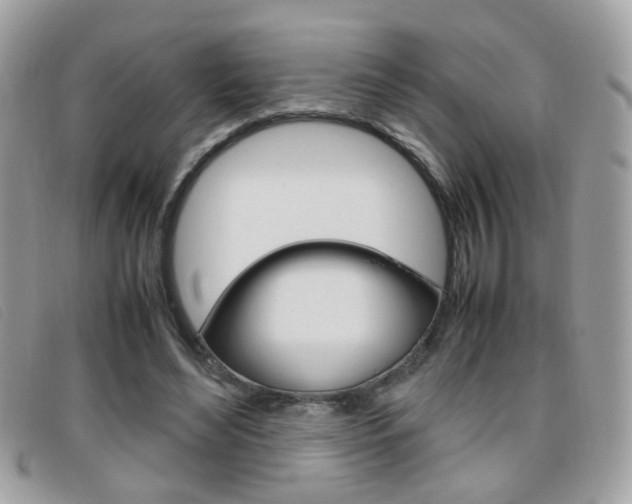 X0000095940492200801110857