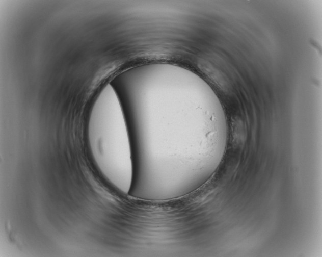 X0000095940494200801110857