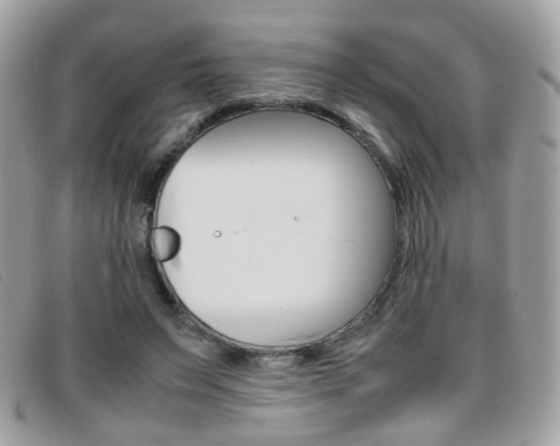 X0000095940495200801110857