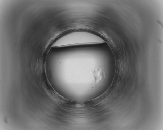 X0000095940496200801110857
