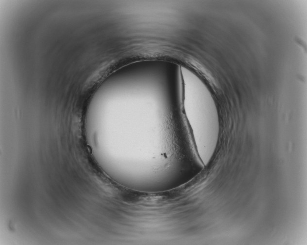 X0000095940497200801110857