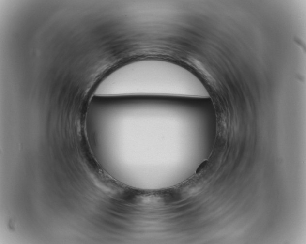 X0000095940500200801110857