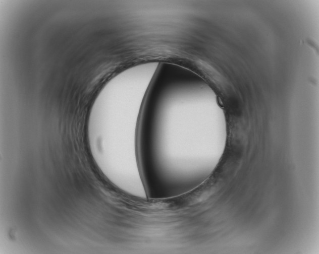 X0000095940501200801110857