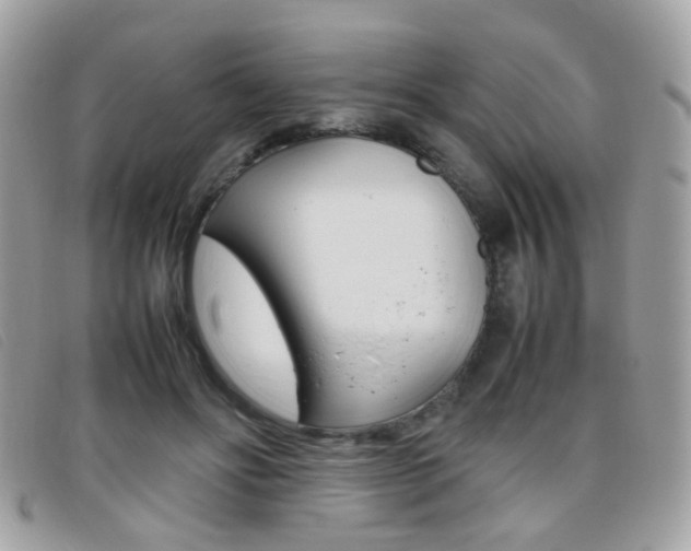 X0000095940502200801110857