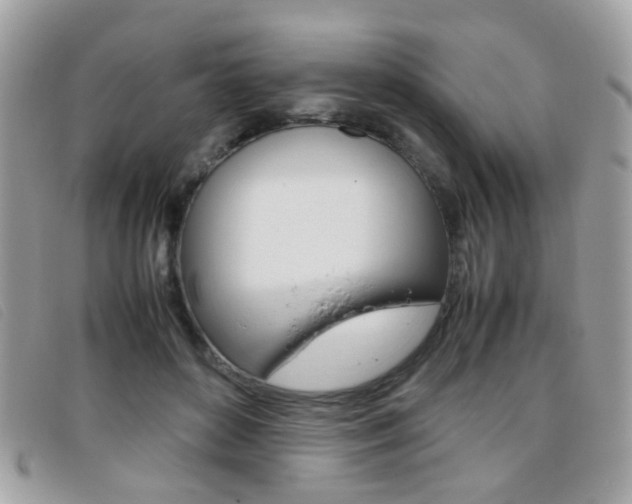 X0000095940504200801110857