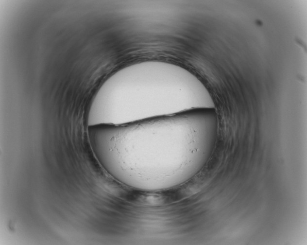 X0000095940506200801110857
