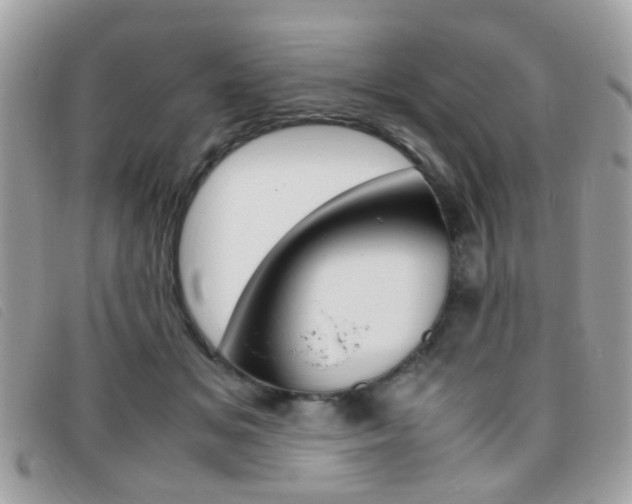 X0000095940509200801110857