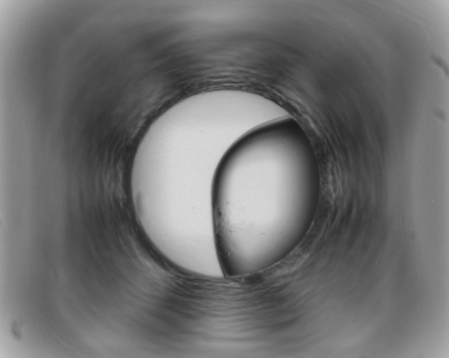 X0000095940512200801110857