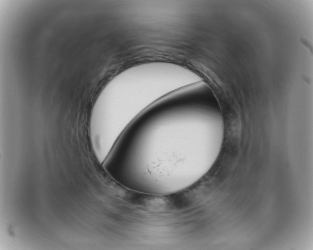 X0000095940513200801110857
