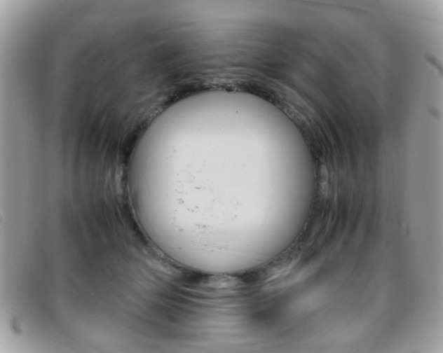 X0000095940514200801110857