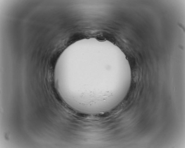 X0000095940515200801110857
