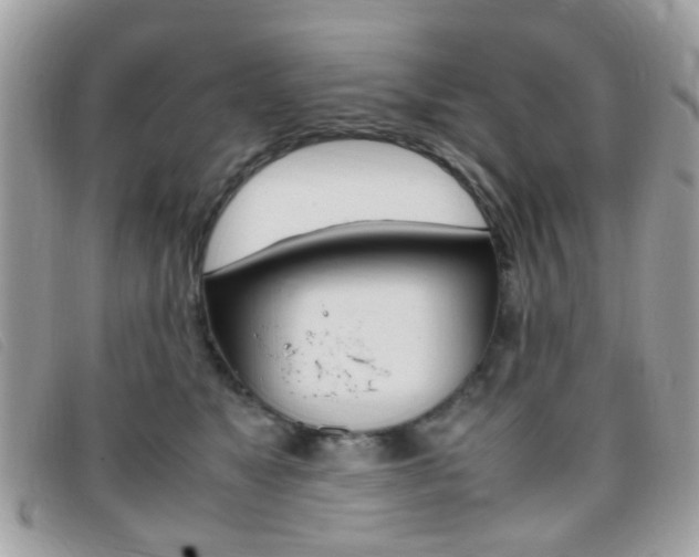 X0000095940517200801110857