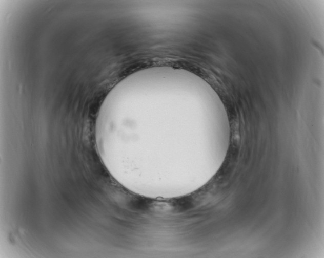 X0000095940519200801110857