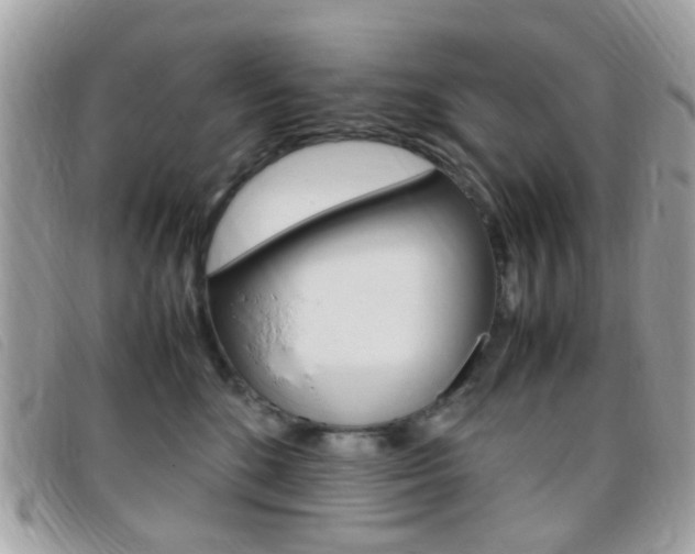 X0000095940520200801110857