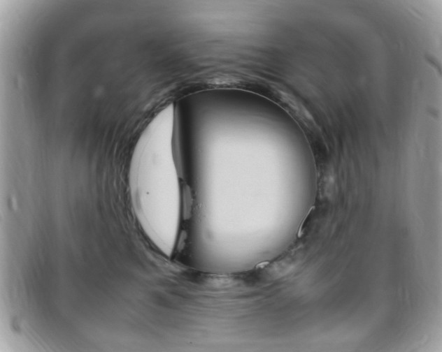 X0000095940521200801110857