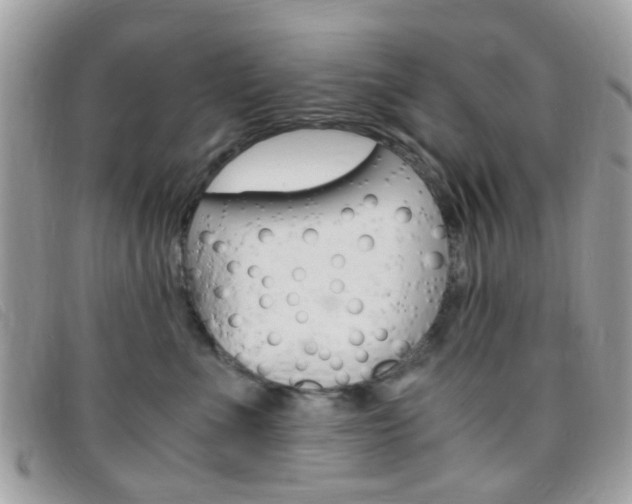 X0000095940523200801110857