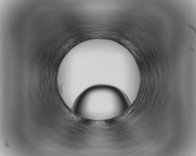X0000095940525200801110857