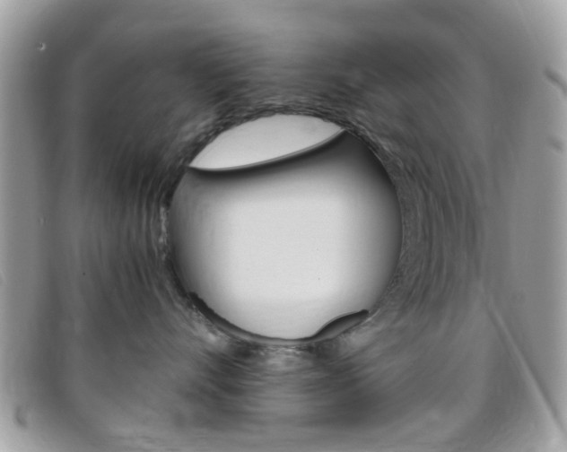 X0000095940528200801110857