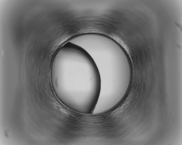 X0000095940529200801110856
