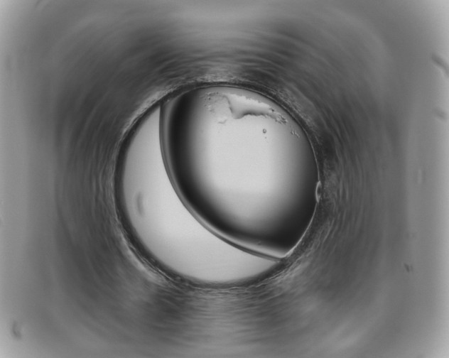 X0000095940530200801110856
