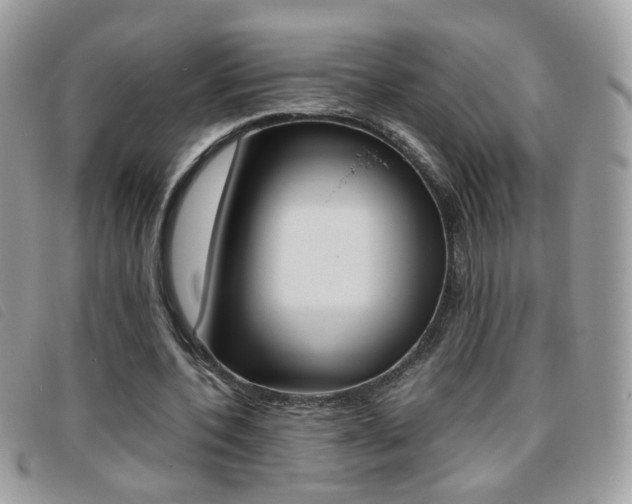 X0000095940532200801110856