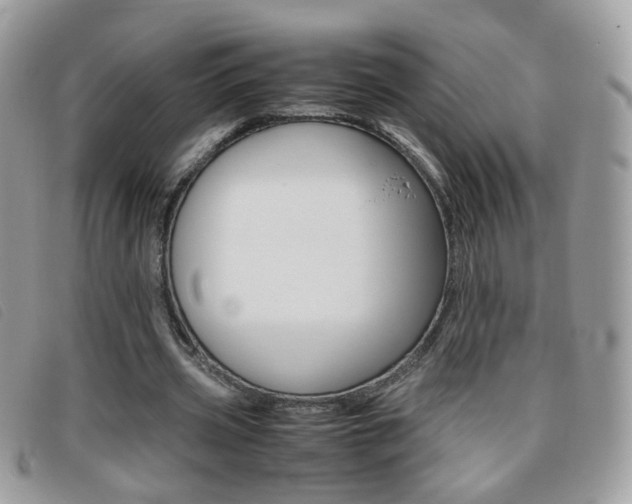 X0000095940533200801110856