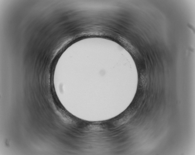X0000095940534200801110856