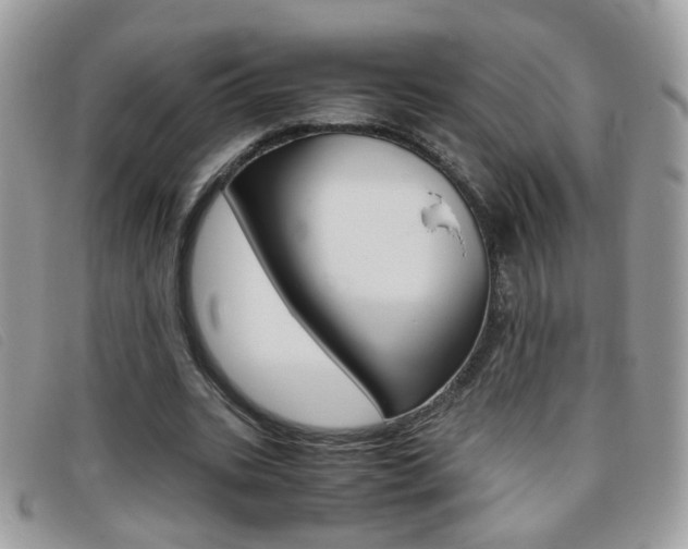 X0000095940535200801110856