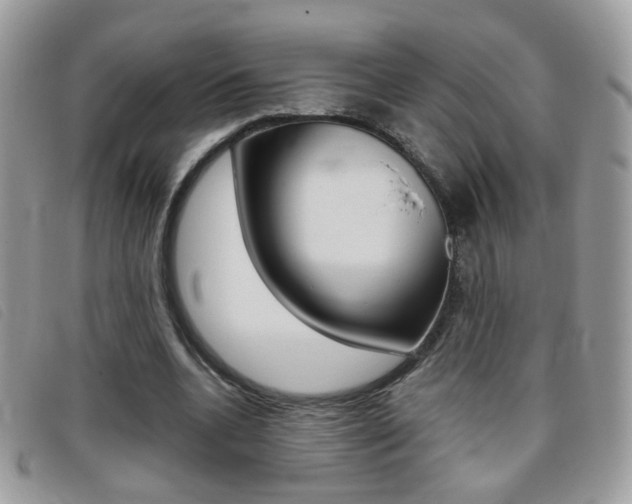 X0000095940536200801110856