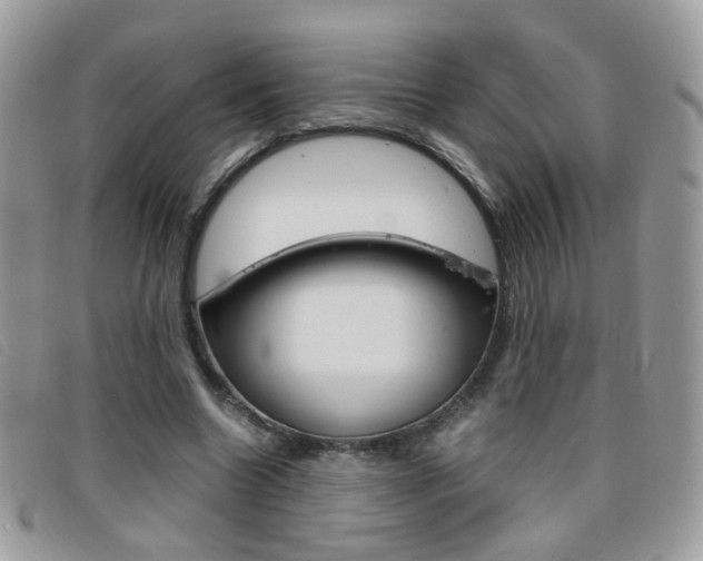 X0000095940538200801110856