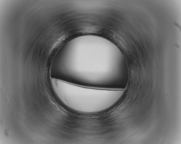 X0000095940539200801110856
