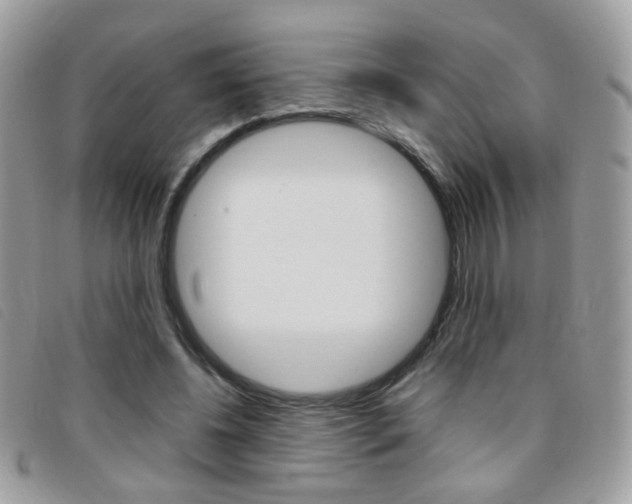 X0000095940540200801110856